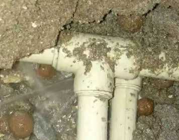 祁阳测漏水多少钱