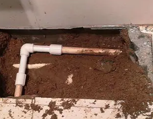 祁阳测漏水哪家好