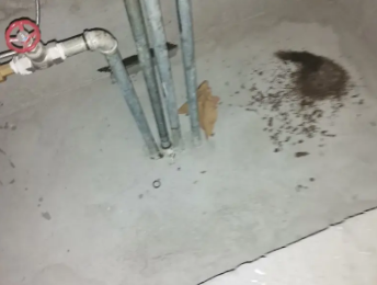 祁阳卫生间测漏水价格明细