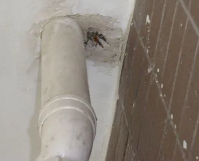 祁阳漏水检测哪家好